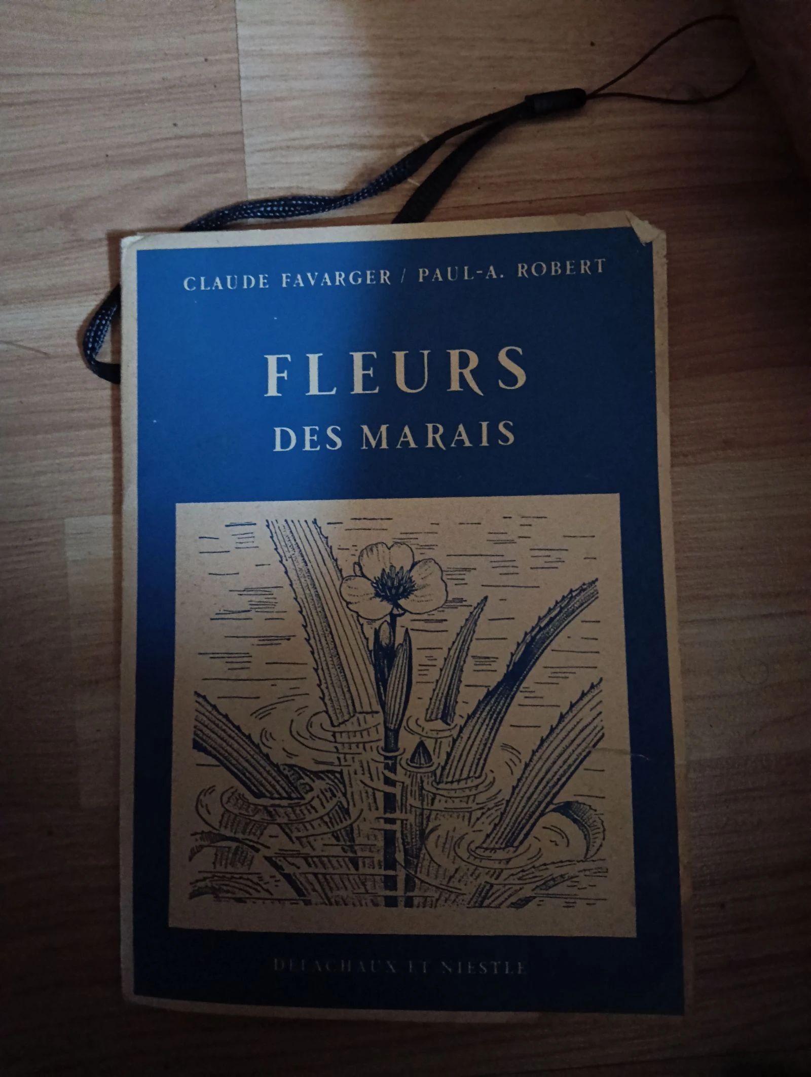 12 fiches fleurs des marais 